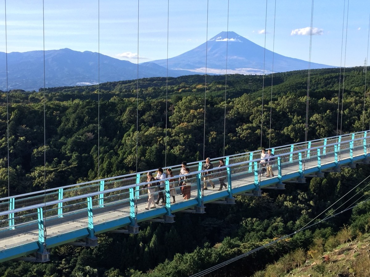 三島スカイウォーク様施工事例|画像0